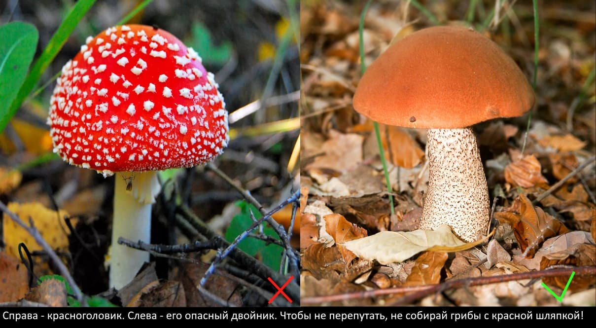 статья проверки картинок